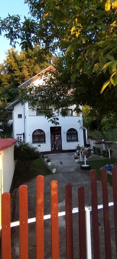 Appartamento Sobe Lara Donji Milanovac Esterno foto
