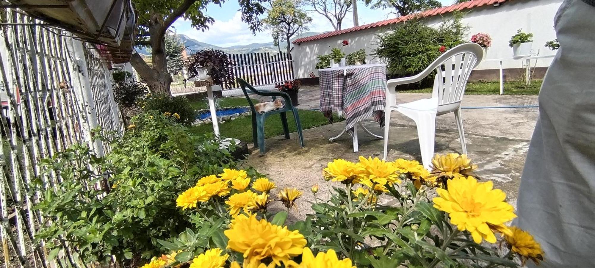 Appartamento Sobe Lara Donji Milanovac Esterno foto